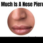 How Much Is A Nose Piercing