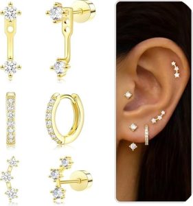 Poxtex Perfect Everyday Earrings