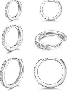 RoseJeopal Silver Small Hoop Earring