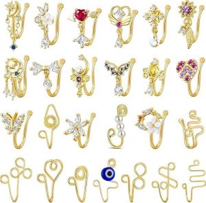 TAMHOO 25 Pcs Multi-Style Fake Nose Rings