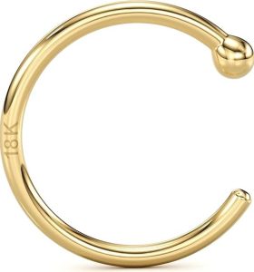 Body Candy Solid 18k Gold Nose Hoop Ring