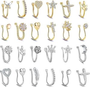 TAMHOO 25 Pcs Multi-Style Fake Nose Rings