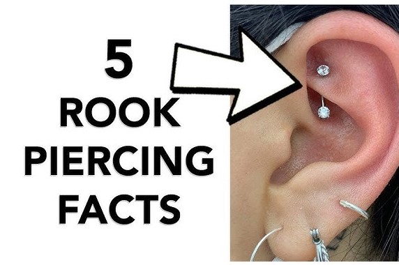 best earrings for rook piercing