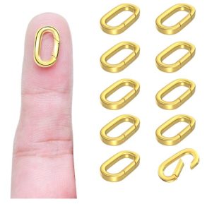 OHINGLT 10Pcs Carabiner Clasps for Bracelet