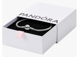 Pandora Moments Charms for Women