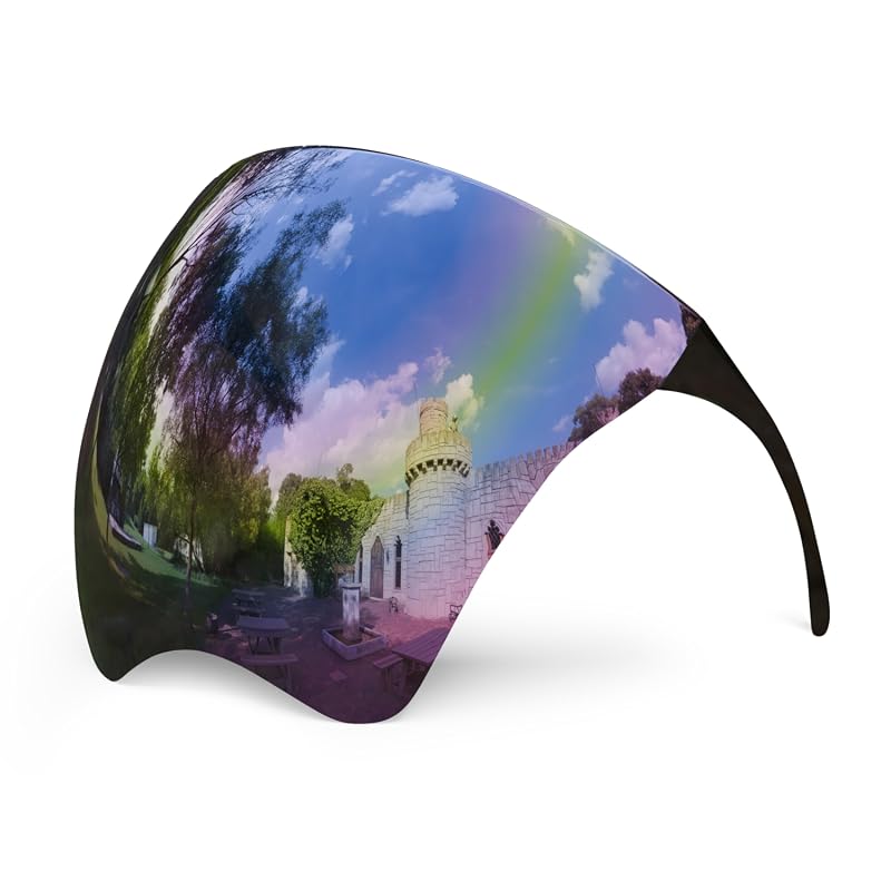 Mayoken Futuristic Full Face Shield Sunglasses with Anti-Fog Mirror Le
