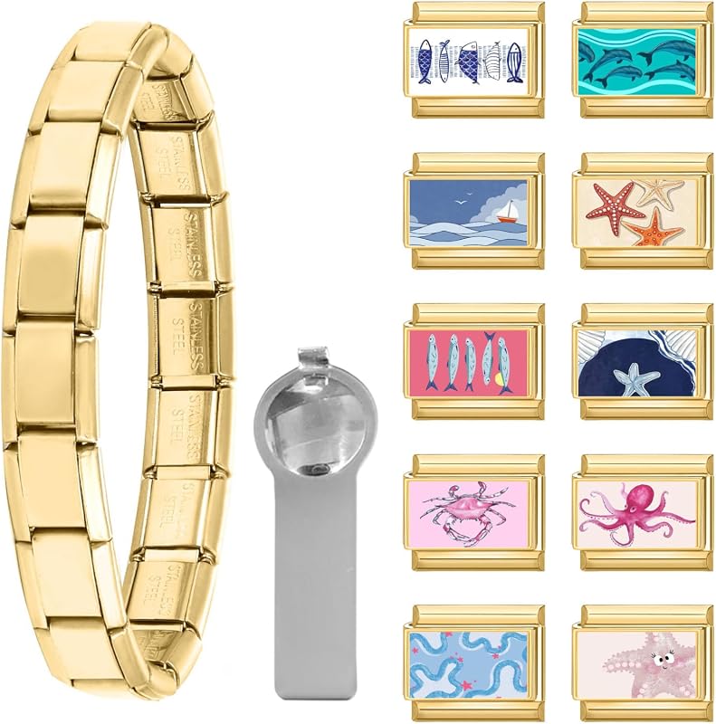 papasgix Italian Charm Bracelet Set with 10 Charms, Starter Bracelet a