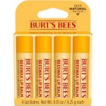 5 Best Burt’s Bees Lip Balms for Perfectly Hydrated Lips: An Expert Review